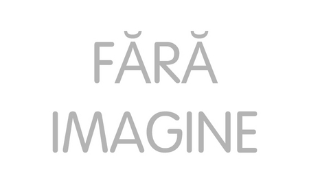 CapaCoustic Pastöskleber